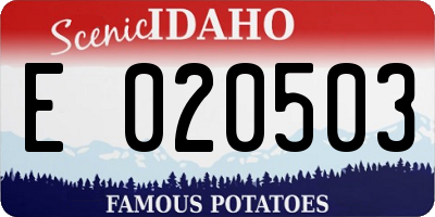 ID license plate E020503