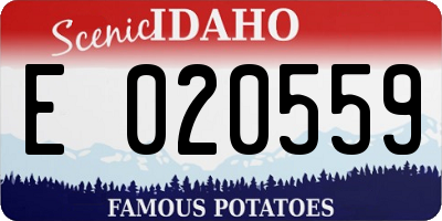 ID license plate E020559