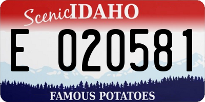 ID license plate E020581