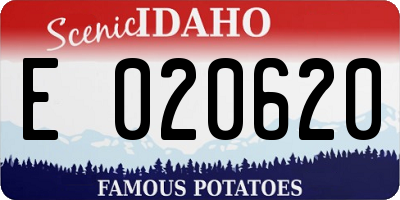 ID license plate E020620