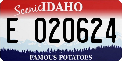 ID license plate E020624