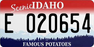 ID license plate E020654