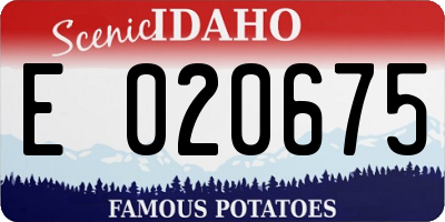 ID license plate E020675