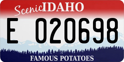 ID license plate E020698