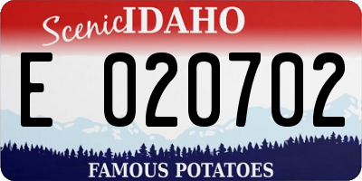 ID license plate E020702