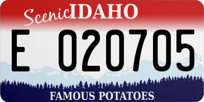 ID license plate E020705