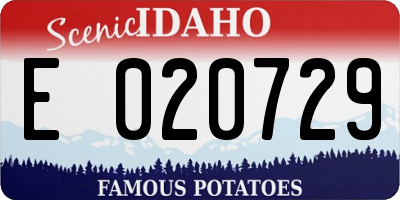 ID license plate E020729