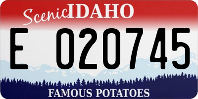 ID license plate E020745