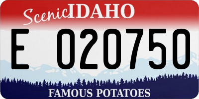 ID license plate E020750