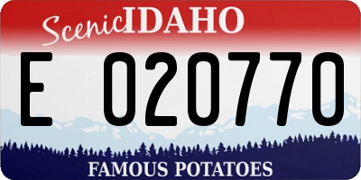 ID license plate E020770