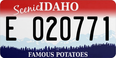 ID license plate E020771