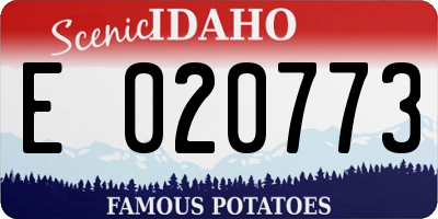 ID license plate E020773