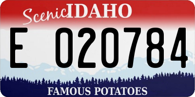 ID license plate E020784