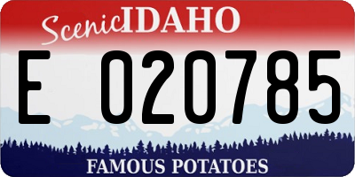 ID license plate E020785