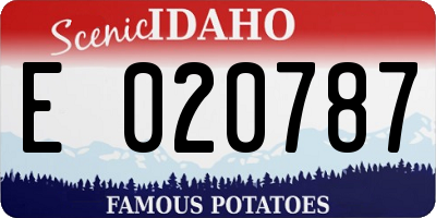 ID license plate E020787