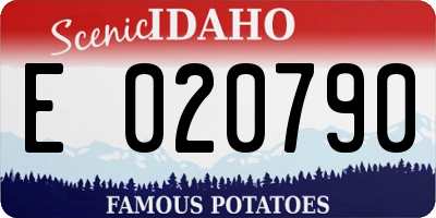 ID license plate E020790