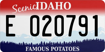 ID license plate E020791