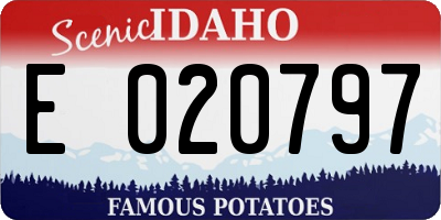 ID license plate E020797