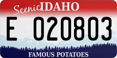ID license plate E020803