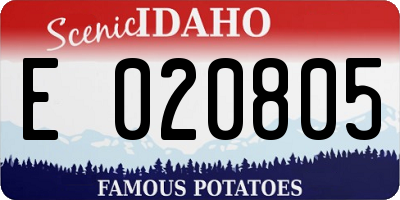 ID license plate E020805