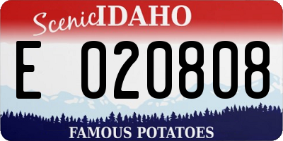 ID license plate E020808