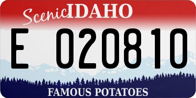 ID license plate E020810