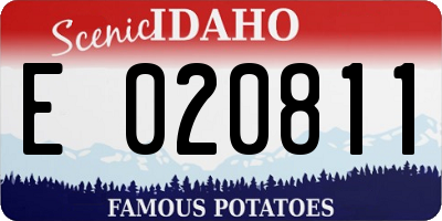 ID license plate E020811