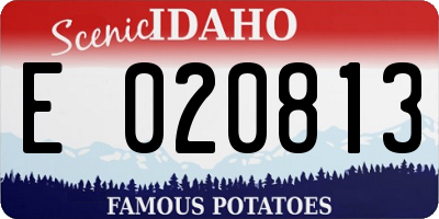 ID license plate E020813