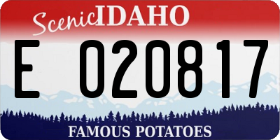 ID license plate E020817