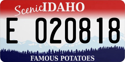 ID license plate E020818