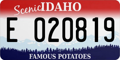 ID license plate E020819