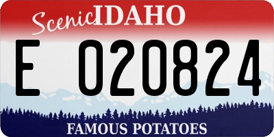 ID license plate E020824