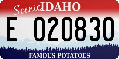 ID license plate E020830