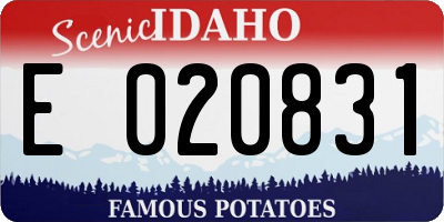 ID license plate E020831