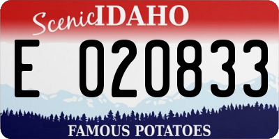 ID license plate E020833