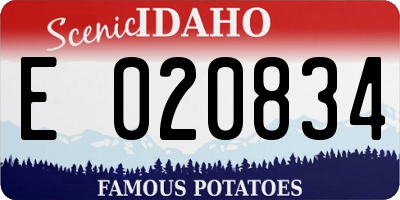 ID license plate E020834