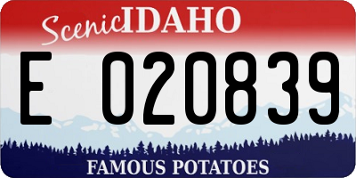 ID license plate E020839