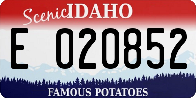 ID license plate E020852