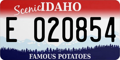 ID license plate E020854