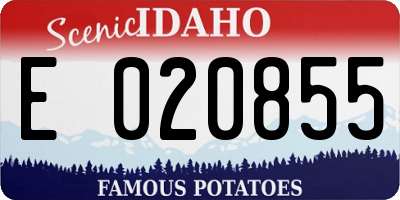 ID license plate E020855