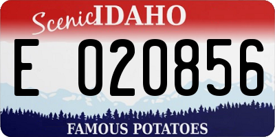 ID license plate E020856