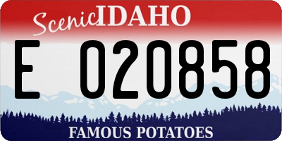 ID license plate E020858