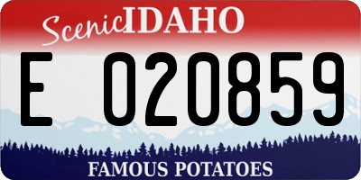 ID license plate E020859