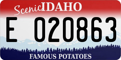 ID license plate E020863