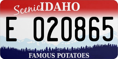 ID license plate E020865