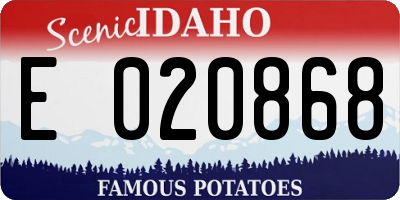 ID license plate E020868