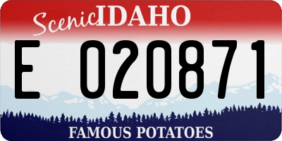 ID license plate E020871