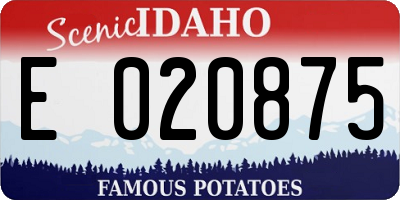 ID license plate E020875