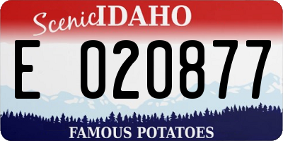 ID license plate E020877