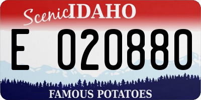 ID license plate E020880